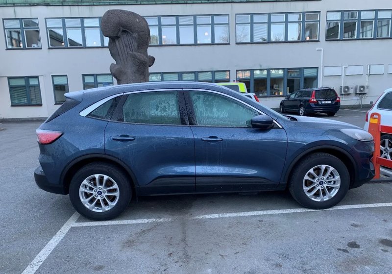 polisen polisen